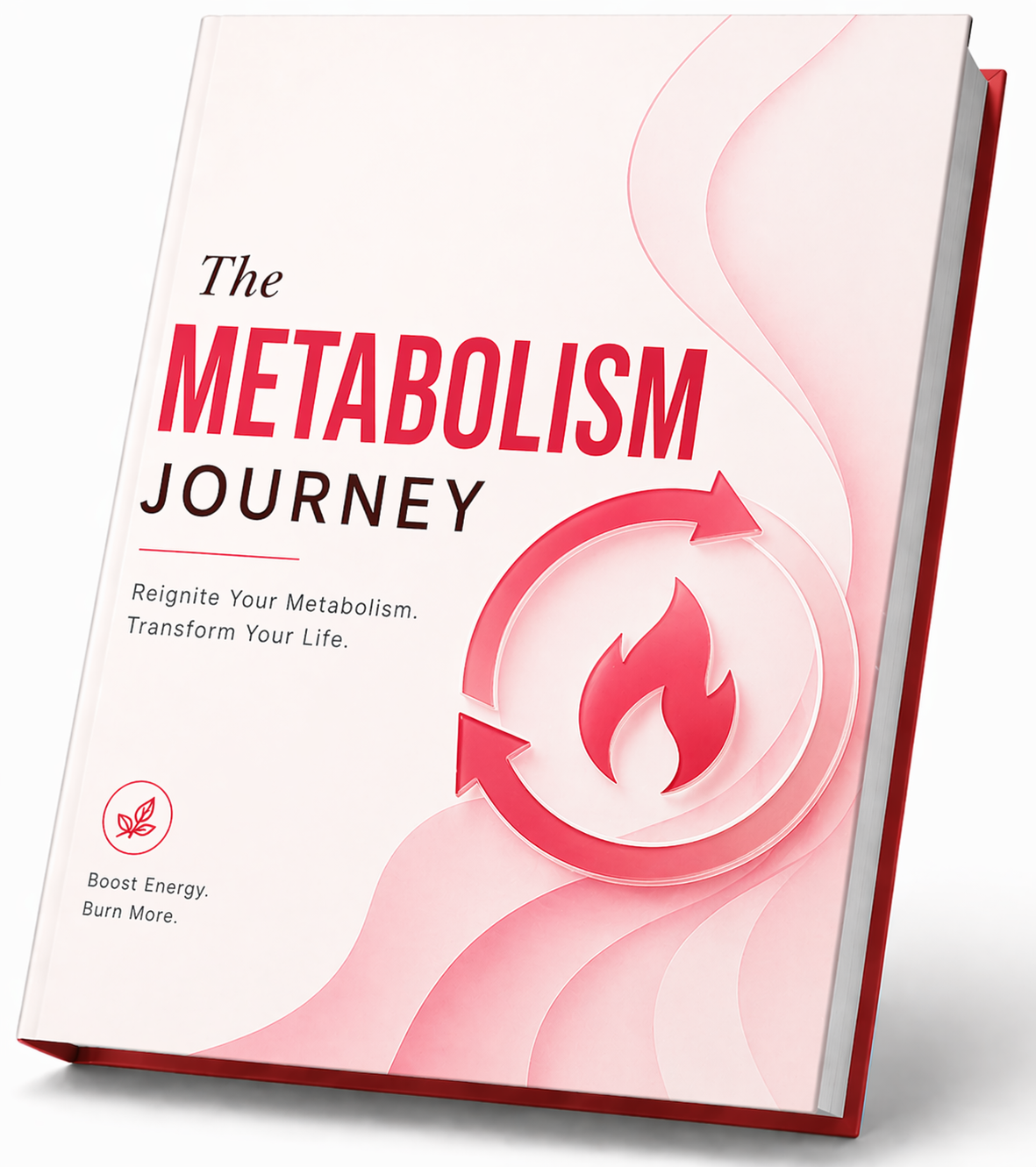 JellyThin consumer reviews Metabolism Journey Guide bonus